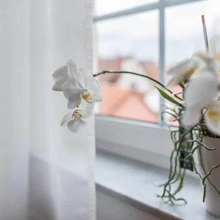 Apartment Aposto 3 *