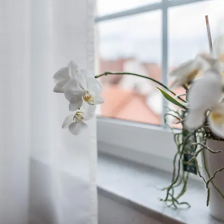 Aposto 3 Appartement *
